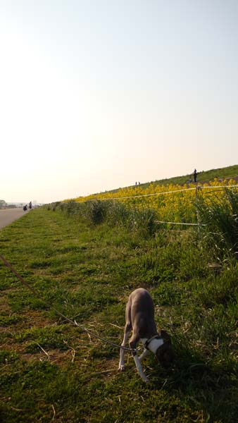 090411-1.jpg