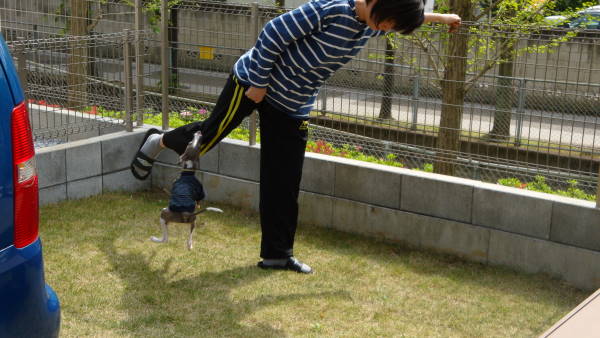 DSC00494-2.jpg